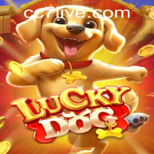 Exploring LuckyDog: A Thrilling Game Experience