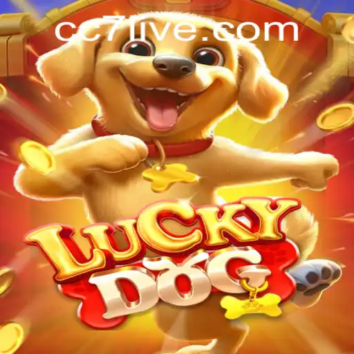 Exploring LuckyDog: A Thrilling Game Experience