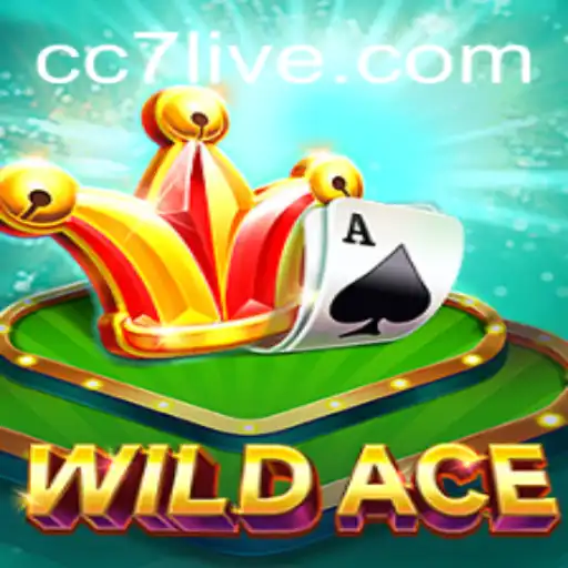 WildAce: The Thrilling World of Strategic Card Play